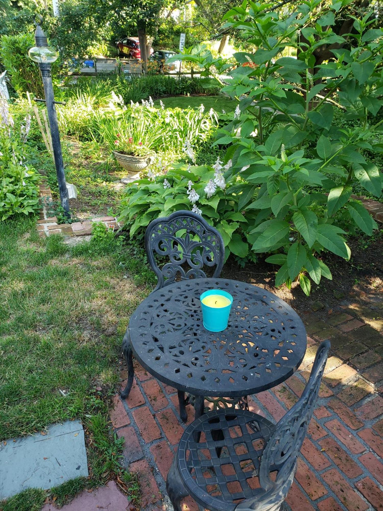 Snug Provincetown